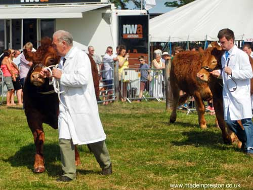 Great Eccleston Agricultural Show 2013