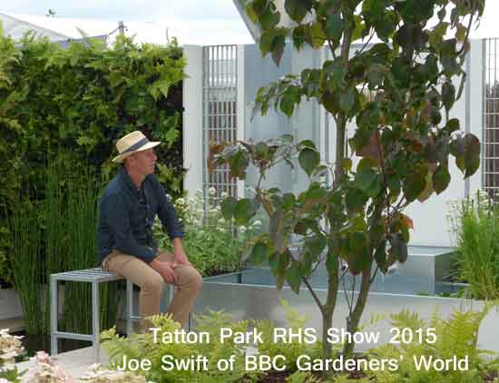 Joe Swift at Tatton Park RHS Show 2015