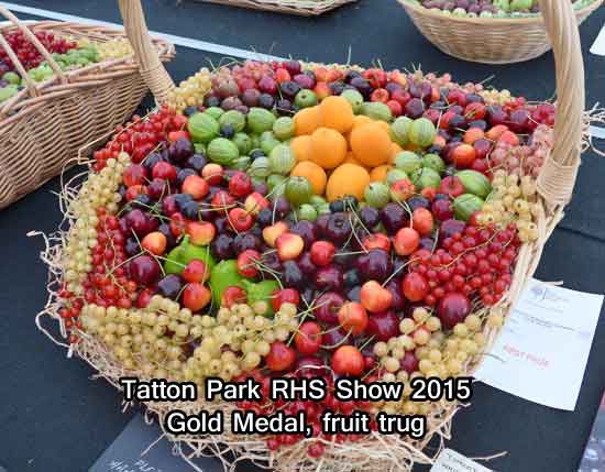 Gold Medal Fruit Trug at Tatton Park RHS Show 2015