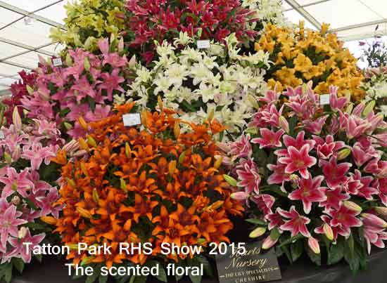 Scented floral display at Tatton Park RHS Show 2015