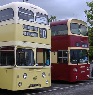 Leyland Steer, 1954