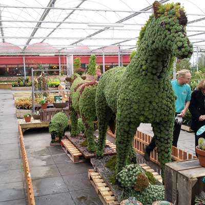 Barton Grange Garden Centre display