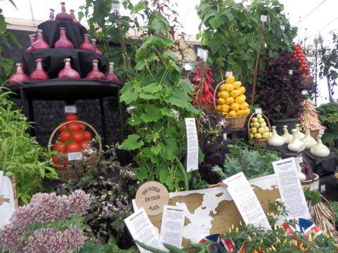 Robinsons Mammoth Onion win Gold at Tatton RHS Show 2012