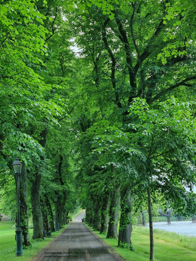 Avenham Park, Preston.  The riverside walk.